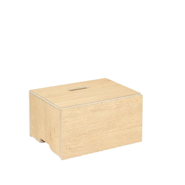 Hima Boksi säilytyslaatikko Spirited Oak koivu